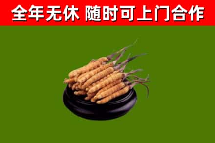 新泰市烟酒回收冬虫夏草.jpg